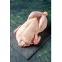 Poulet entier, 1.1kg